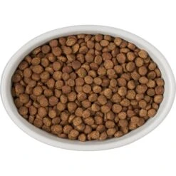 Frisco Oval Meow Non-skid Ceramic Cat Bowl With Wood Base 13 Frisco Oval Meow Non-skid Ceramic Cat Bowl With Wood Base -Frisco 256080 PT5. AC SS1800 V1615312016