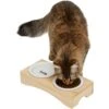 Frisco Double Elevated Cat Bowl With Wood Stand -Frisco 256082 MAIN. AC SS1800 V1616509034