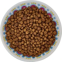 Frisco Kaleidoscope Pattern Non-skid Ceramic Cat Dish -Frisco 256092 PT5. AC SS1800 V1617042691