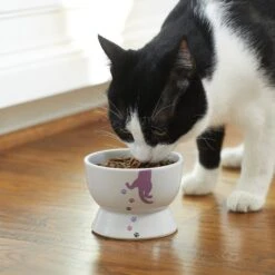 Frisco Cat Print Non-skid Elevated Ceramic Cat Bowl, Short -Frisco 256096 PT2. AC SS1800 V1616522571