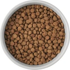 Frisco Cat Print Non-Skid Elevated Ceramic Cat Bowl, Tall 12 Frisco Cat Print Non-Skid Elevated Ceramic Cat Bowl, Tall -Frisco 256099 PT4. AC SS1800 V1616522538