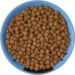 Frisco Cat Face Non-skid Ceramic Cat Dish, Blue -Frisco 256101 PT5. AC SS1800 V1615321282