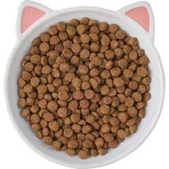 Frisco Cat Face Non-skid Ceramic Cat Dish 11 Frisco Cat Face Non-skid Ceramic Cat Dish -Frisco 256105 PT5. AC SS1800 V1615321295