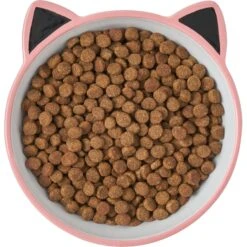 Frisco Cat Face Non-skid Ceramic Cat Bowl, Pink 11 Frisco Cat Face Non-skid Ceramic Cat Bowl, Pink -Frisco 256107 PT5. AC SS1800 V1616522494