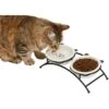 Frisco Cat Face Non-skid Elevated Double Ceramic Cat Bowl -Frisco 256113 MAIN. AC SS1800 V1616522219