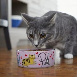 Frisco Paris Non-skid Ceramic Cat Dish 10 Frisco Paris Non-skid Ceramic Cat Dish -Frisco 256117 PT2. AC SS1800 V1615311397