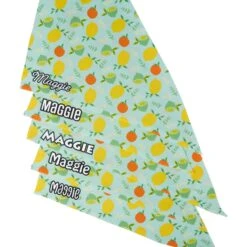 Frisco Citrus Personalized Dog & Cat Bandana -Frisco 258758 PT4. AC SS1800 V1619558899