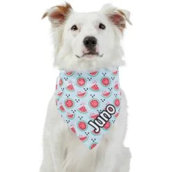 Frisco Watermelons Personalized Dog & Cat Bandana -Frisco 267458 PT6. AC SS1800 V1632432415