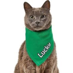 Frisco Solid Color Personalized Dog & Cat Bandana 18 Frisco Solid Color Personalized Dog & Cat Bandana -Frisco 267489 PT7. AC SS1800 V1632431774
