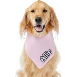 Frisco Solid Pastel Personalized Dog & Cat Bandana 17 Frisco Solid Pastel Personalized Dog & Cat Bandana -Frisco 267514 PT6. AC SS1800 V1632417387