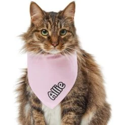 Frisco Solid Pastel Personalized Dog & Cat Bandana 18 Frisco Solid Pastel Personalized Dog & Cat Bandana -Frisco 267514 PT7. AC SS1800 V1632434472