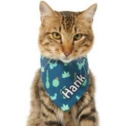 Frisco Cactus Personalized Dog & Cat Bandana 17 Frisco Cactus Personalized Dog & Cat Bandana -Frisco 267551 PT8. AC SS1800 V1623164657