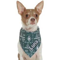 Frisco Boho Geo Personalized Dog & Cat Bandana 16 Frisco Boho Geo Personalized Dog & Cat Bandana -Frisco 267559 PT7. AC SS1800 V1623164863