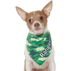 Frisco Green Camo Personalized Dog & Cat Bandana -Frisco 267563 PT7. AC SS1800 V1623182085