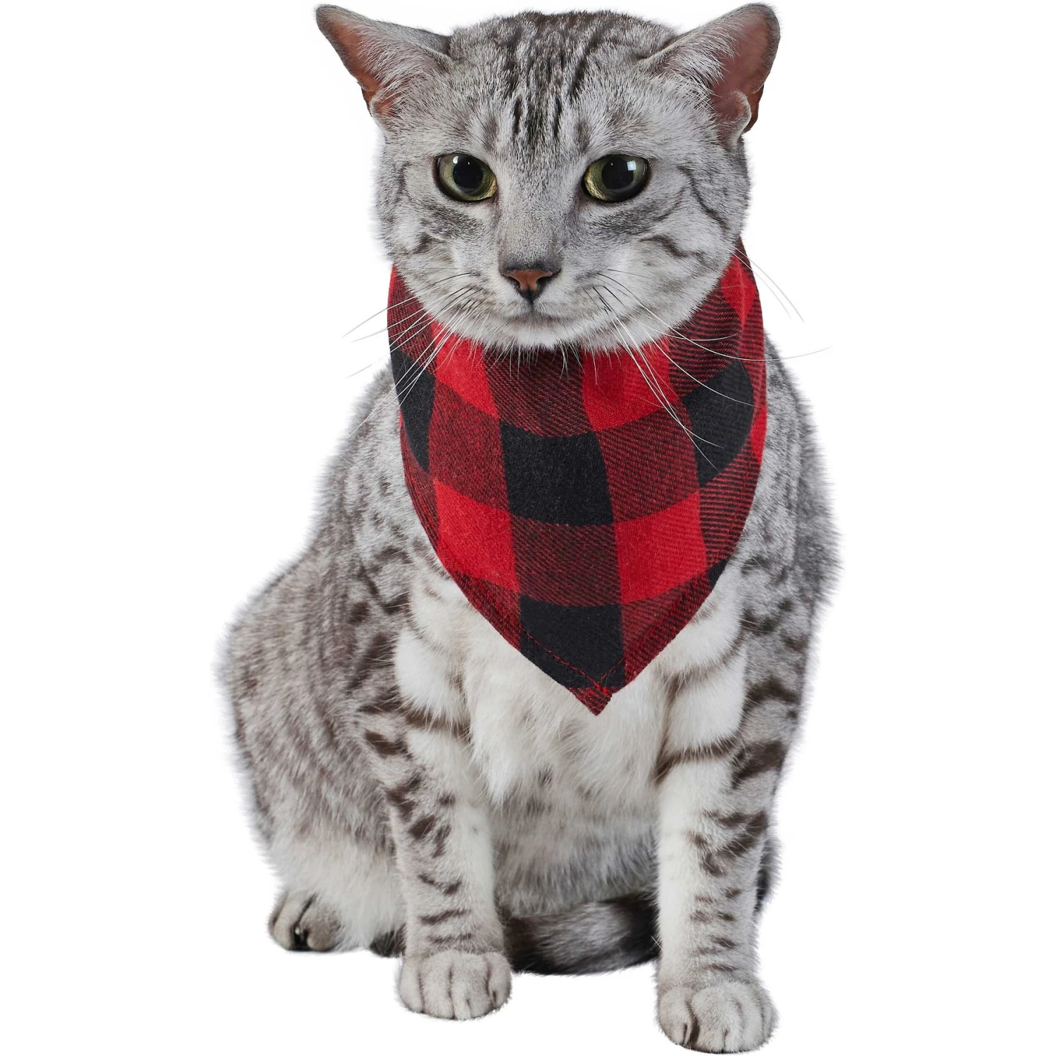 Red Buffalo Plaid Dog & Cat Bandana 6 Red Buffalo Plaid Dog & Cat Bandana - Image 4