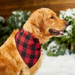 Red Buffalo Plaid Dog & Cat Bandana 15 Red Buffalo Plaid Dog & Cat Bandana -Frisco 267899 PT5. AC SS1800 V1637666506