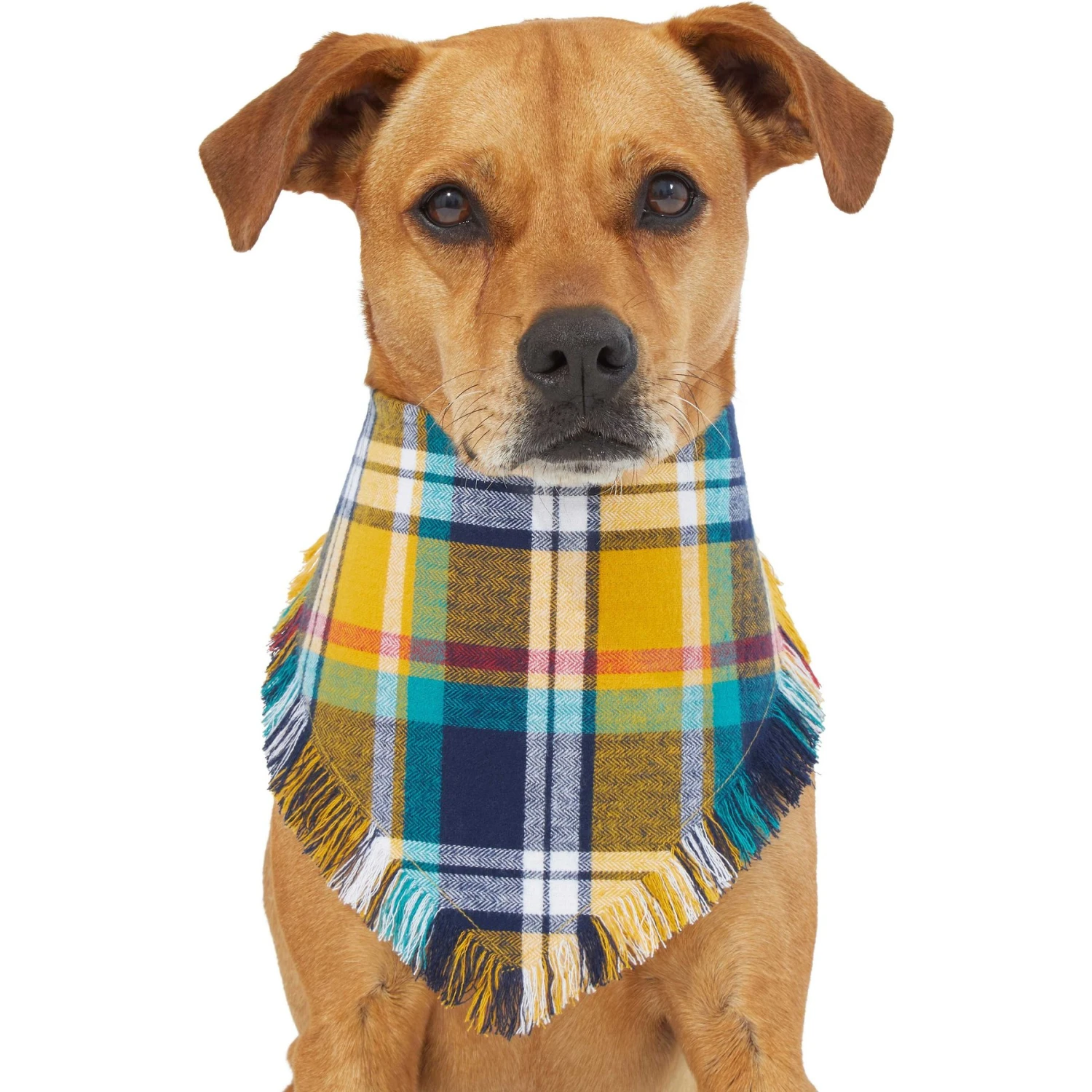 Frisco Blue/Yellow Plaid Dog & Cat Flannel Bandana 5 Frisco Blue/Yellow Plaid Dog & Cat Flannel Bandana - Image 3