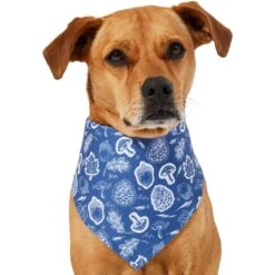 Frisco Fall Vibes Dog & Cat Bandana 12 Frisco Fall Vibes Dog & Cat Bandana -Frisco 267913 PT2. AC SS1800 V1637722647