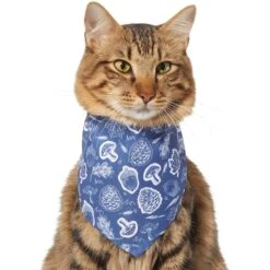 Frisco Fall Vibes Dog & Cat Bandana 13 Frisco Fall Vibes Dog & Cat Bandana -Frisco 267913 PT3. AC SS1800 V1637729806