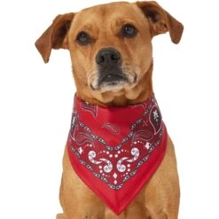 Frisco Red Paisley Dog & Cat Bandana -Frisco 267919 PT2. AC SS1800 V1637669854