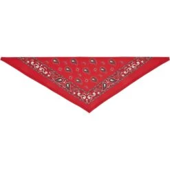 Frisco Red Paisley Dog & Cat Bandana -Frisco 267919 PT4. AC SS1800 V1637674037