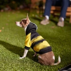 Frisco Rebel Dog & Cat Hoodie -Frisco 267994 PT8. AC SS1800 V1629758309