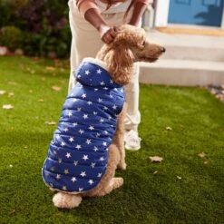 Frisco Mediumweight Metallic Star Print Insulated Dog & Cat Parka, Navy -Frisco 268413 PT8. AC SS1800 V1629757357