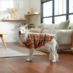 Frisco Orange & Olive Plaid Dog & Cat Flannel Shirt -Frisco 268612 PT7. AC SS1800 V1637721727