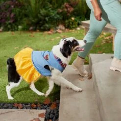 Frisco Chambray Plaid Dog & Cat Dress -Frisco 268637 PT6. AC SS1800 V1637730174