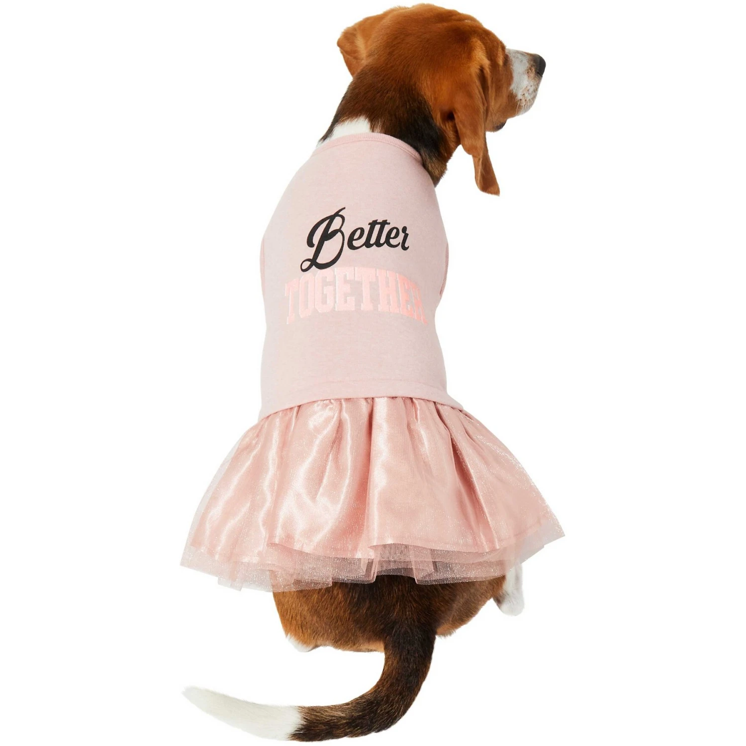 Frisco Better Together Dog & Cat Dress 5 Frisco Better Together Dog & Cat Dress - Image 3