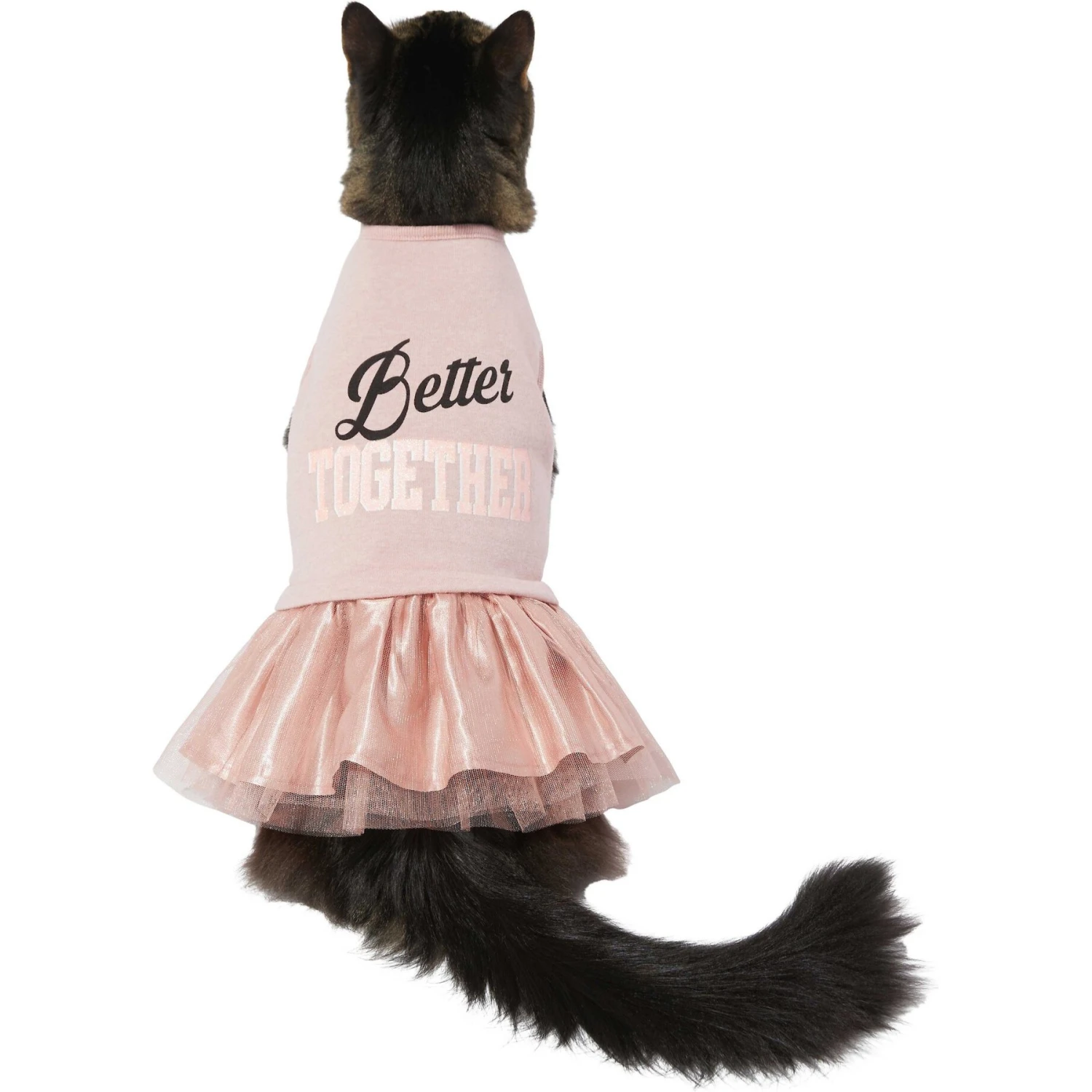 Frisco Better Together Dog & Cat Dress 6 Frisco Better Together Dog & Cat Dress - Image 4