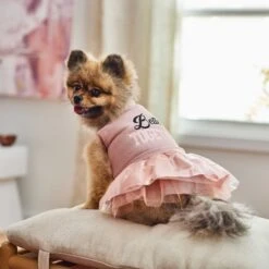 Frisco Better Together Dog & Cat Dress 14 Frisco Better Together Dog & Cat Dress -Frisco 268652 PT5. AC SS1800 V1637682716