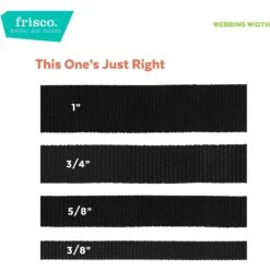 Tie Dye Cat Collar -Frisco 269494 PT6. AC SS1800 V1629992476