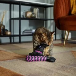 Frisco Halloween Witch Hat & Legs Plush Cat Toy With Catnip, 2 Count 8 Frisco Halloween Witch Hat & Legs Plush Cat Toy With Catnip, 2 Count -Frisco 270305 PT3. AC SS1800 V1624817161