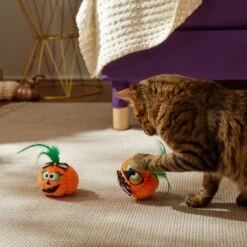 Frisco Halloween Nerdy Jack-o-Lanterns Plush Cat Toy With Catnip, 2 Count -Frisco 270313 PT3. AC SS1800 V1624824951