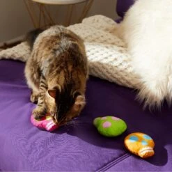 Frisco Colorful Skulls Plush Cat Toy With Catnip, 3 Count -Frisco 270325 PT3. AC SS1800 V1630350992