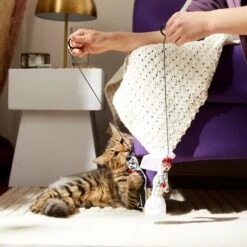 Frisco Sugar Skull Bride & Groom Bouncy Cat Toy With Catnip, 2 Count -Frisco 270343 PT3. AC SS1800 V1624817778