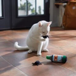 Frisco Camping Bug Spray Plush Cat Toy With Catnip, 3 Count 7 Frisco Camping Bug Spray Plush Cat Toy With Catnip, 3 Count -Frisco 270969 PT3. AC SS1800 V1625009346