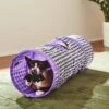 Frisco Halloween Checkered Foldable Play Tunnel Cat Toy With Catnip 1 Frisco Halloween Checkered Foldable Play Tunnel Cat Toy With Catnip -Frisco 271304 MAIN. AC SS1800 V1689873224