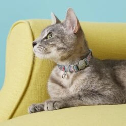 Frisco Rose Polyester Personalized Breakaway Cat Collar With Bell -Frisco 271600 PT4. AC SS1800 V1618936952