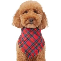Frisco Red/Green Plaid Dog & Cat Flannel Bandana 13 Frisco Red/Green Plaid Dog & Cat Flannel Bandana -Frisco 276201 PT3. AC SS1800 V1637654789