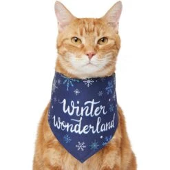 Frisco Winter Wonderland Dog & Cat Bandana 12 Frisco Winter Wonderland Dog & Cat Bandana -Frisco 276279 PT2. AC SS1800 V1637675218