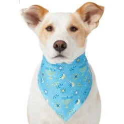 Frisco Festive Hanukkah Dog & Cat Bandana -Frisco 276282 PT3. AC SS1800 V1637673704