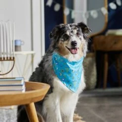 Frisco Festive Hanukkah Dog & Cat Bandana -Frisco 276282 PT5. AC SS1800 V1637653030