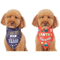Frisco Santa's Favorite & Cheers To The New Year Dog & Cat Reversible Bandana 13 Frisco Santa's Favorite & Cheers To The New Year Dog & Cat Reversible Bandana -Frisco 276285 PT2. AC SS1800 V1637719891