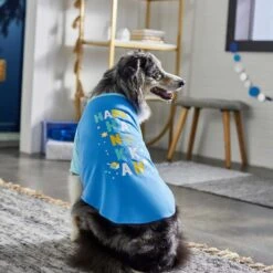 Frisco Happy Hanukkah Dog & Cat T-shirt -Frisco 276480 PT5. AC SS1800 V1637646712