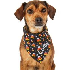 Frisco Candy Corn Personalized Dog & Cat Bandana -Frisco 287056 PT6. AC SS1800 V1623246504
