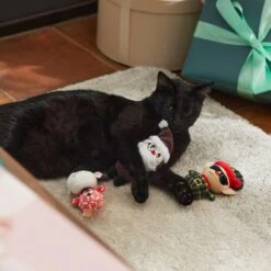 Frisco Holiday Hipster Santa & Friends Plush Cat Toy With Catnip, 3 Count 7 Frisco Holiday Hipster Santa & Friends Plush Cat Toy With Catnip, 3 Count -Frisco 287317 PT3. AC SS1800 V1632774130