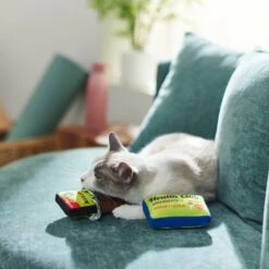 Frisco Protein Bar & Gym Membership Plush Cat Toy With Catnip 9 Frisco Protein Bar & Gym Membership Plush Cat Toy With Catnip -Frisco 288951 PT3. AC SS1800 V1638290814