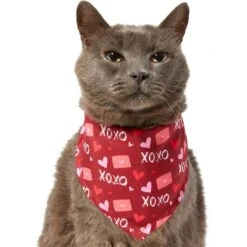 Frisco Love Letters Dog & Cat Bandana 11 Frisco Love Letters Dog & Cat Bandana -Frisco 292051 PT2. AC SS1800 V1637269050